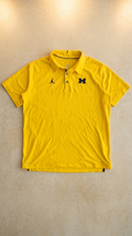 Polo Jordan x michigan